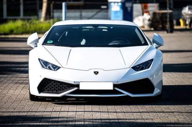 Wild Ccasino Casino Android/iOS App