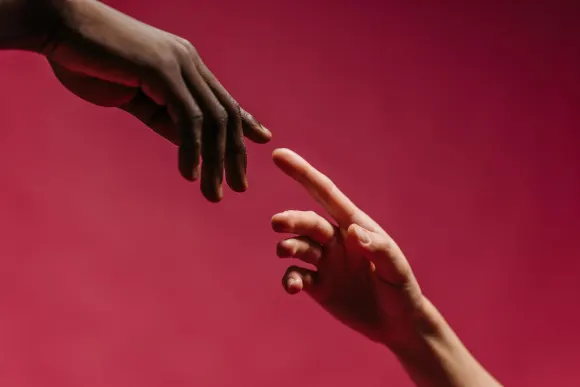 Wild Ccasino Casino Support